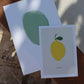 Gepersonaliseerde Lineart Puglia Lime