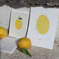 Gepersonaliseerde Lineart Puglia Limone